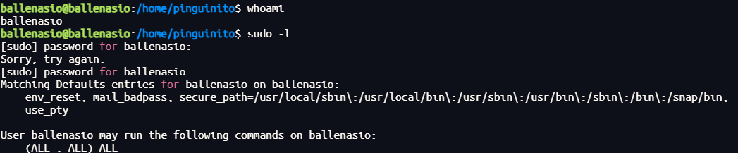 image-20250608175814830