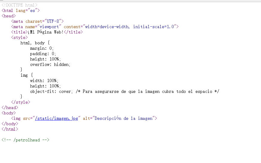 image-20250610204334733