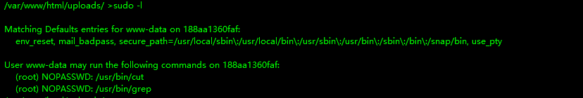 image-20250611184951267