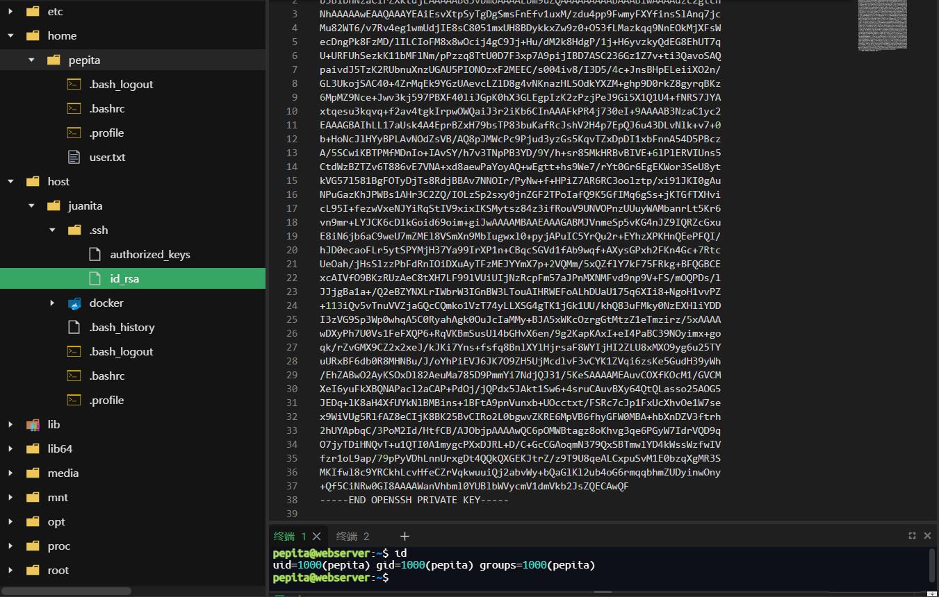 image-20250611221143568