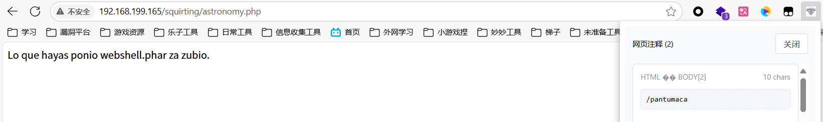 image-20250612195825558