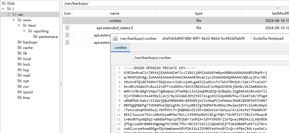 image-20250612205255198