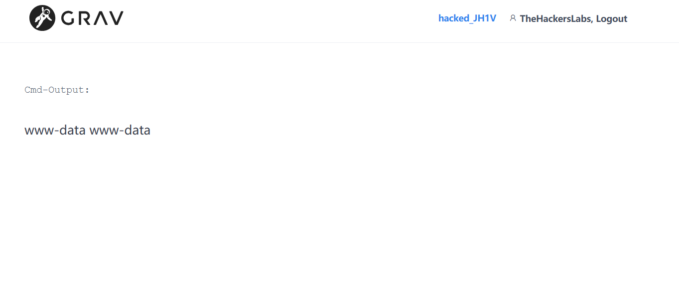 image-20250614161940550