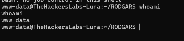 image-20250616222753936