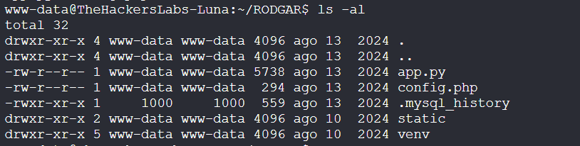 image-20250616223738412