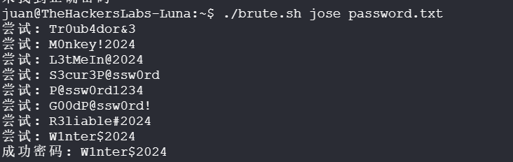 image-20250616231225325