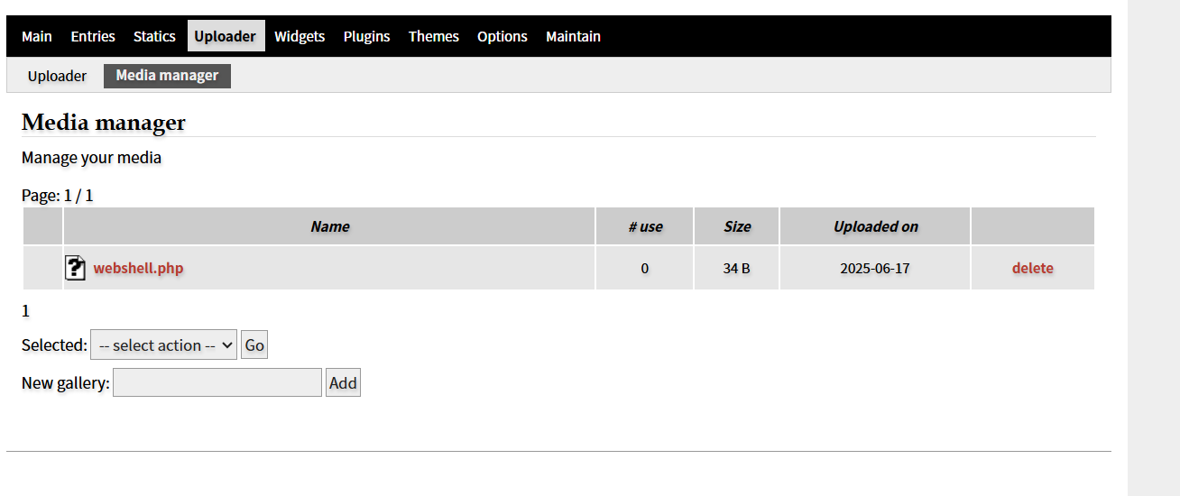 image-20250617160023922