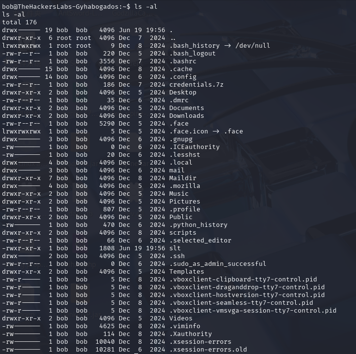 image-20250619230058526