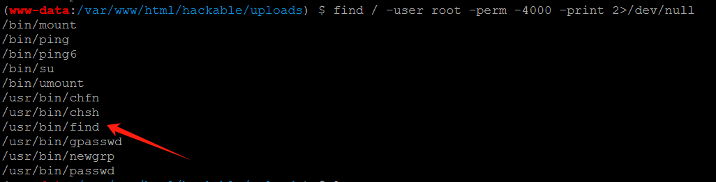 image-20241218160025707