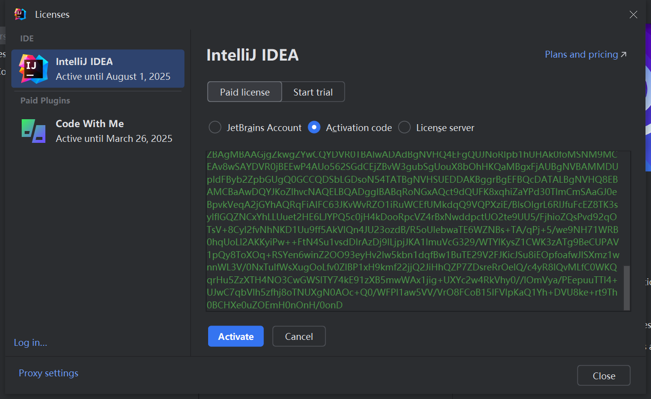 image-20250225161917619