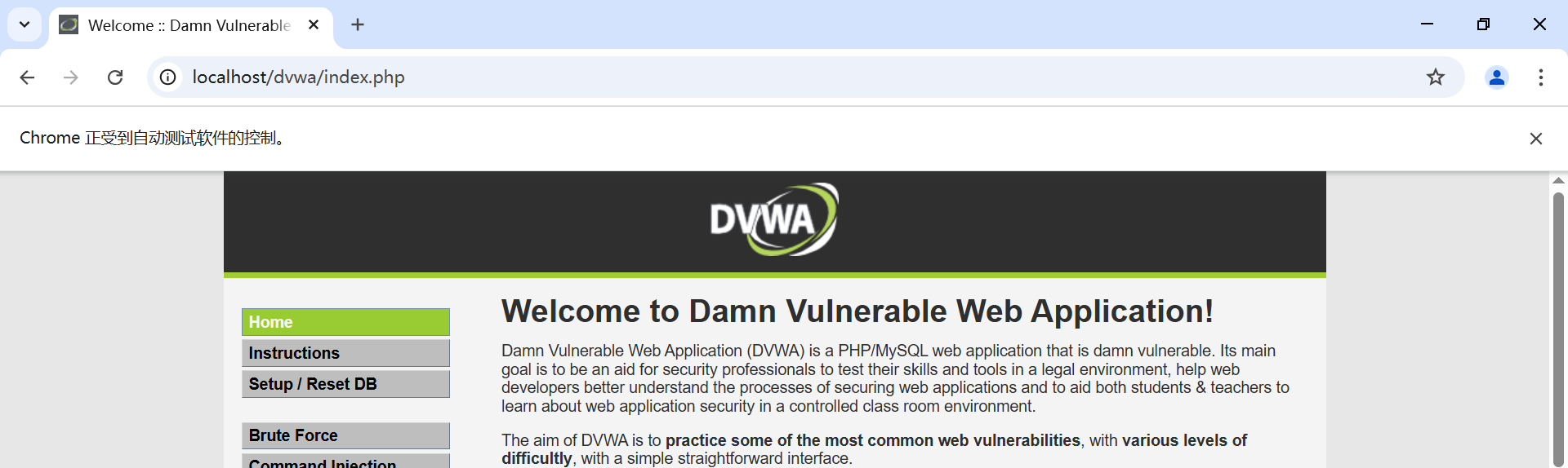 image-20250409144635311