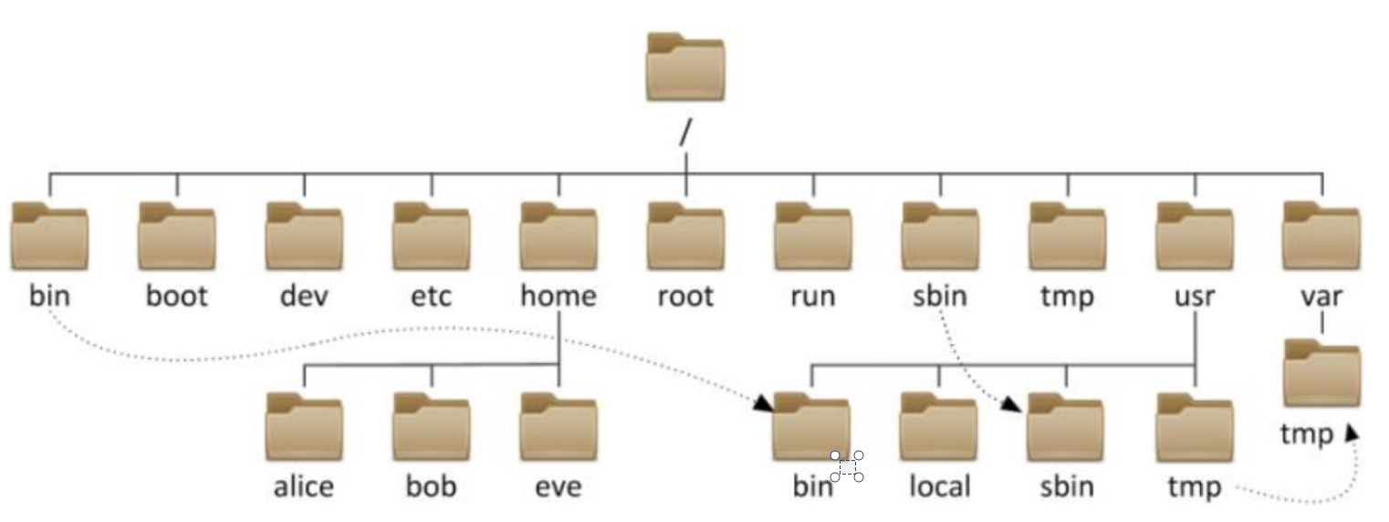 image-20240805091016758