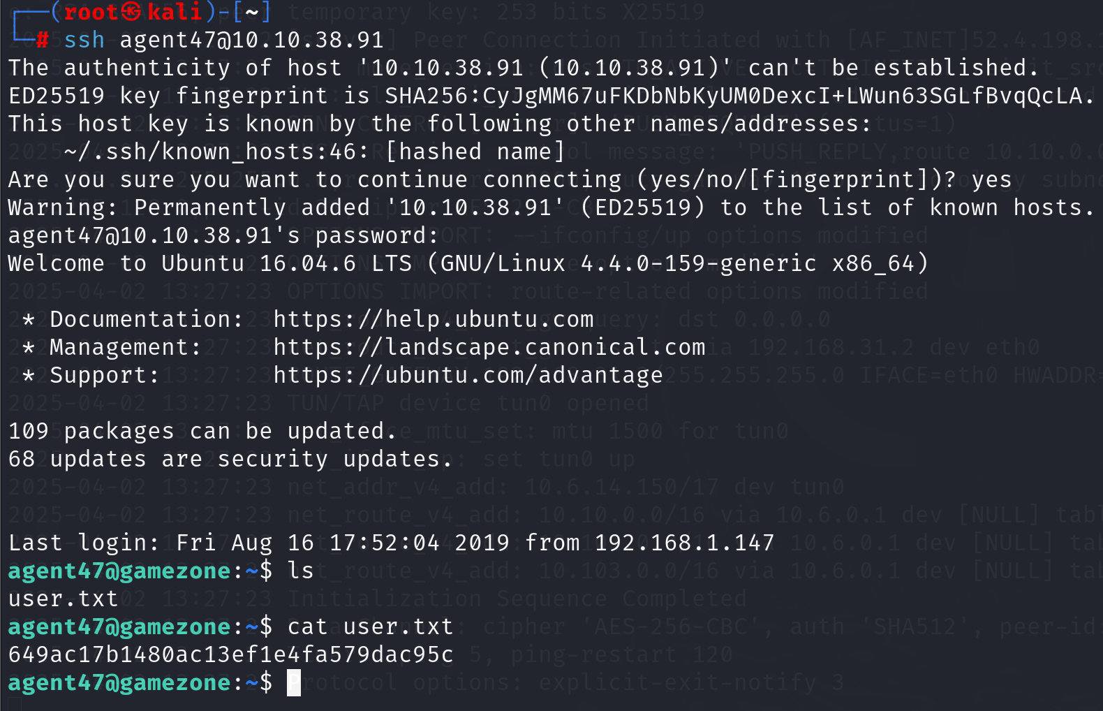 image-20250402132853458