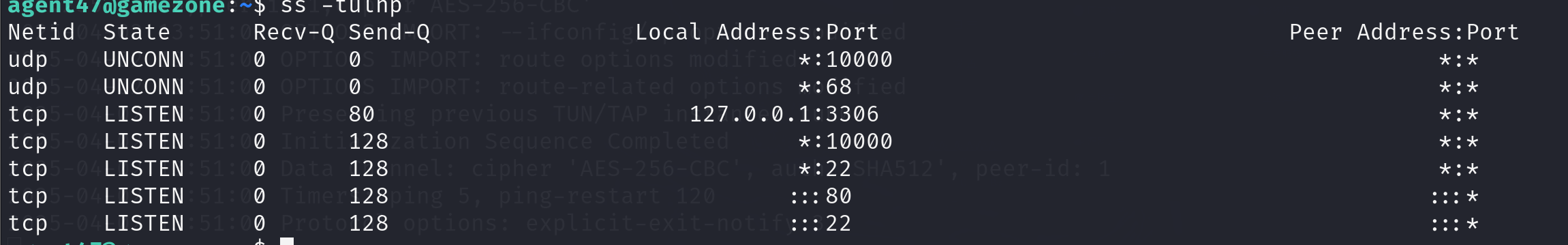 image-20250402140146235