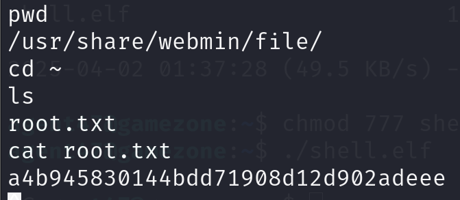 image-20250402145202833