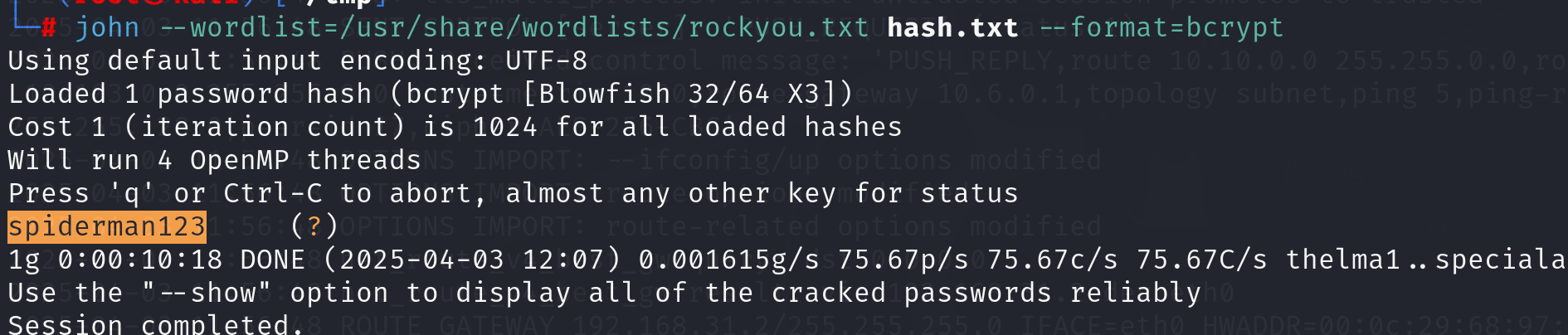 image-20250403120825883