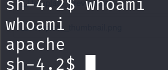 image-20250403123947096