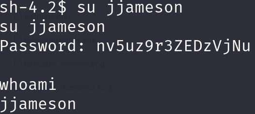 image-20250403124654521