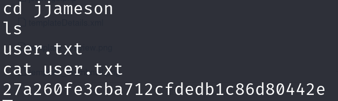 image-20250403124719858