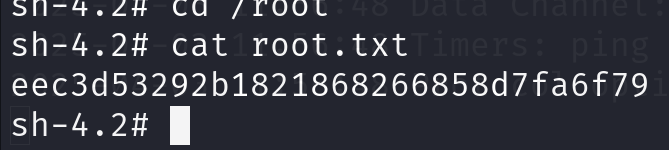 image-20250403130221636