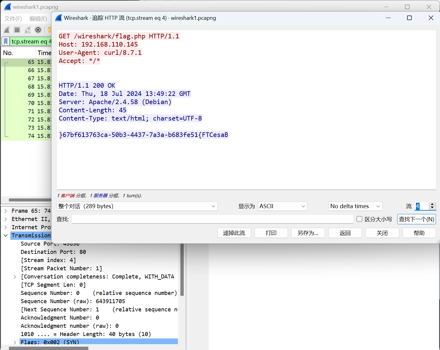 image-20241016234840905