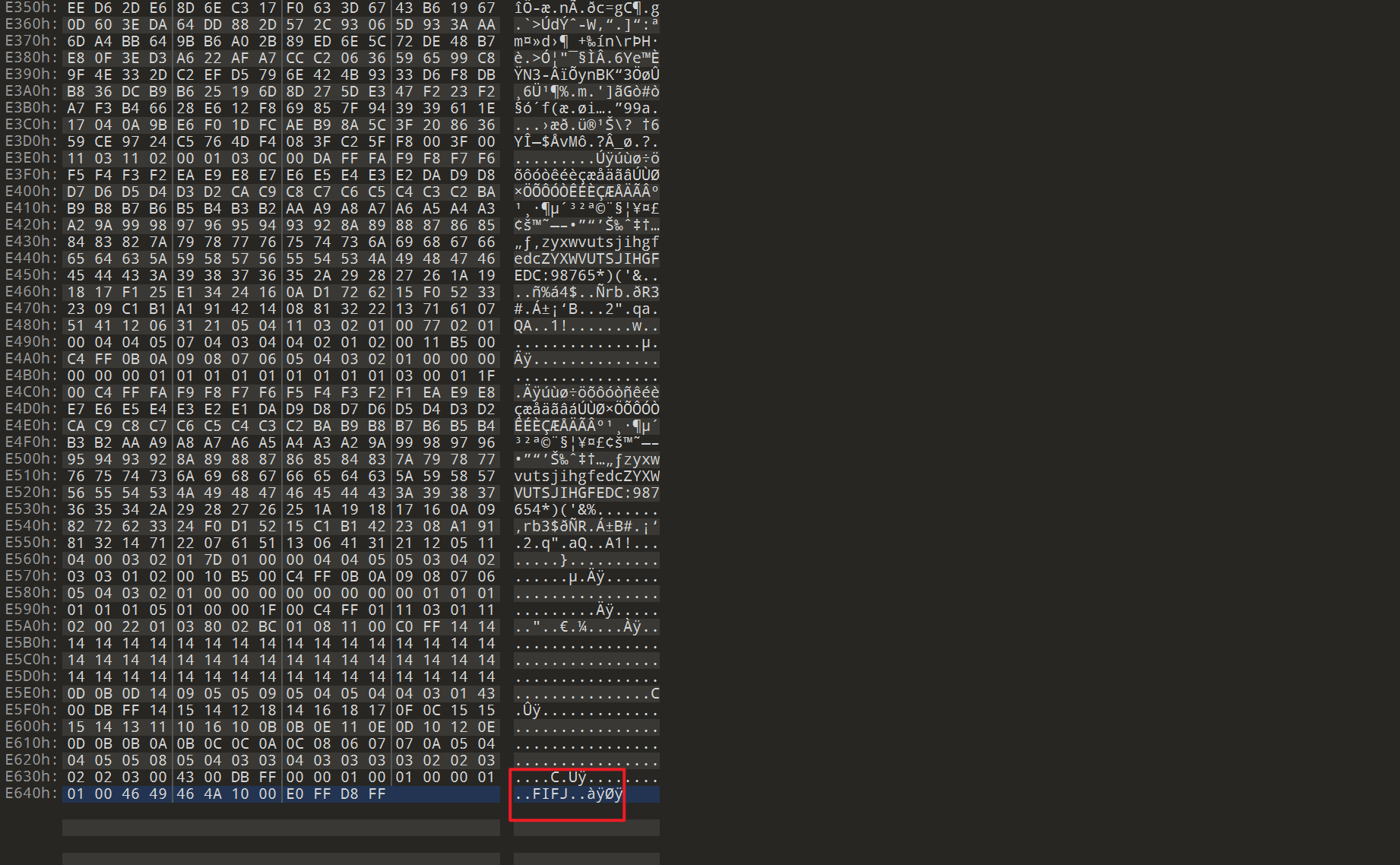 image-20241017131935491