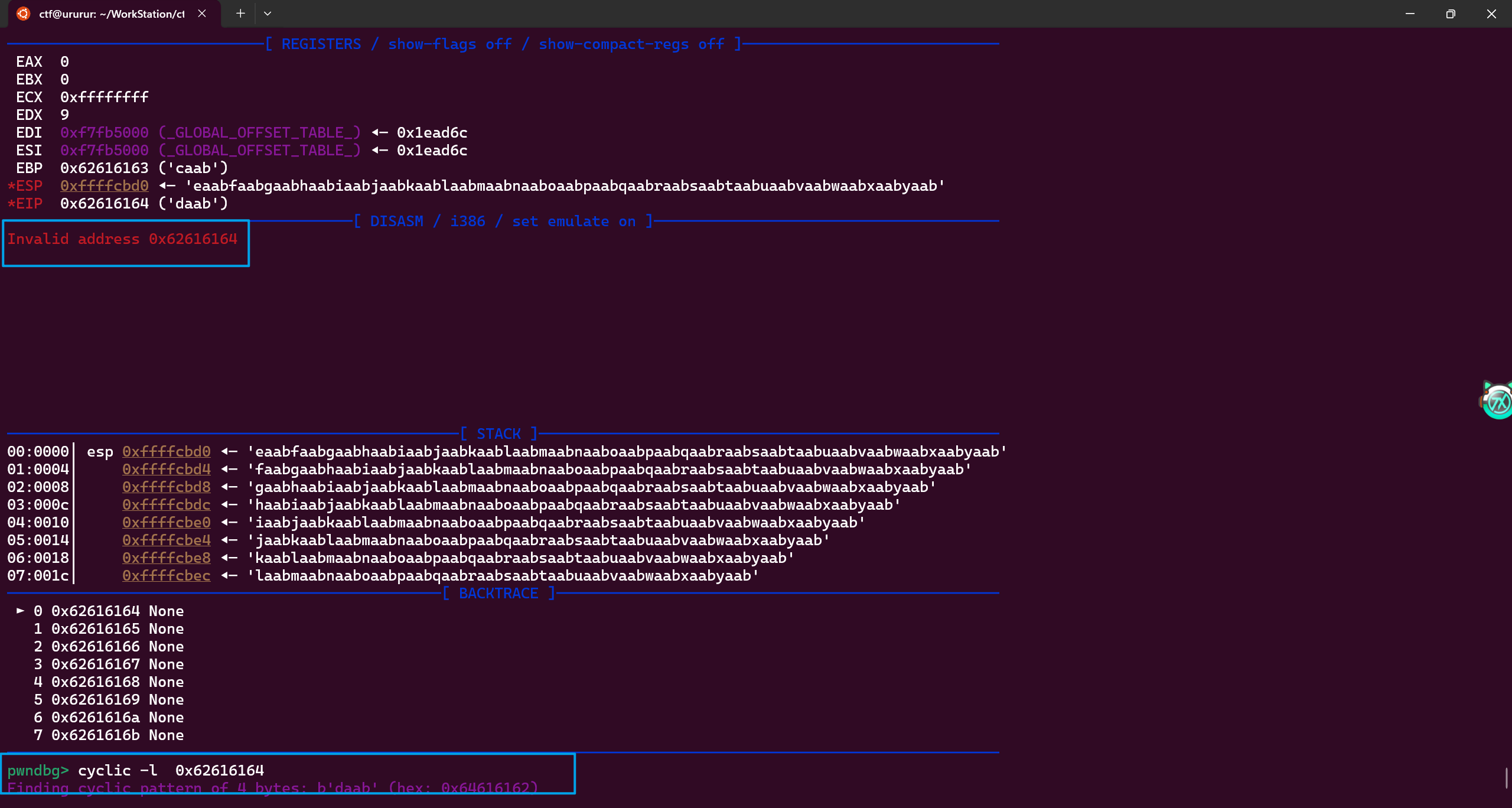 image-20241023234012148