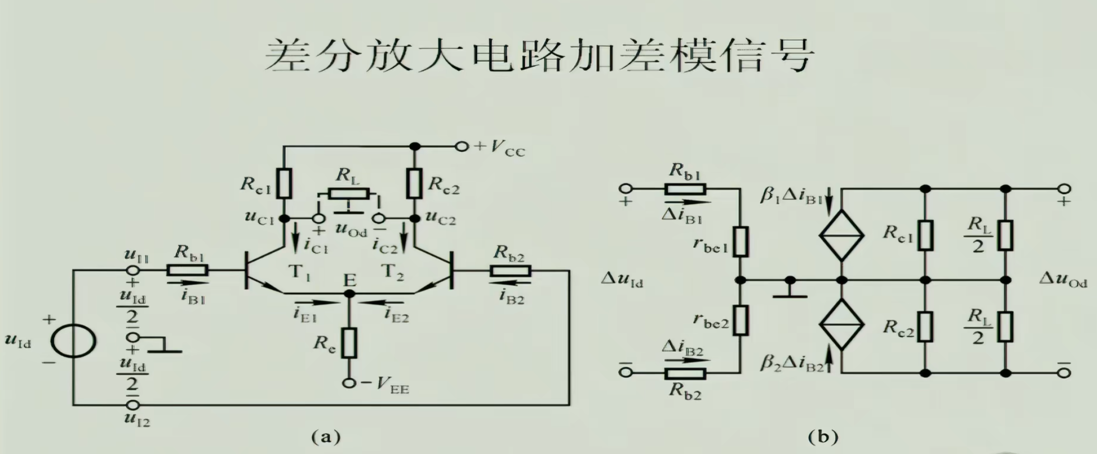 image-20250208142749399