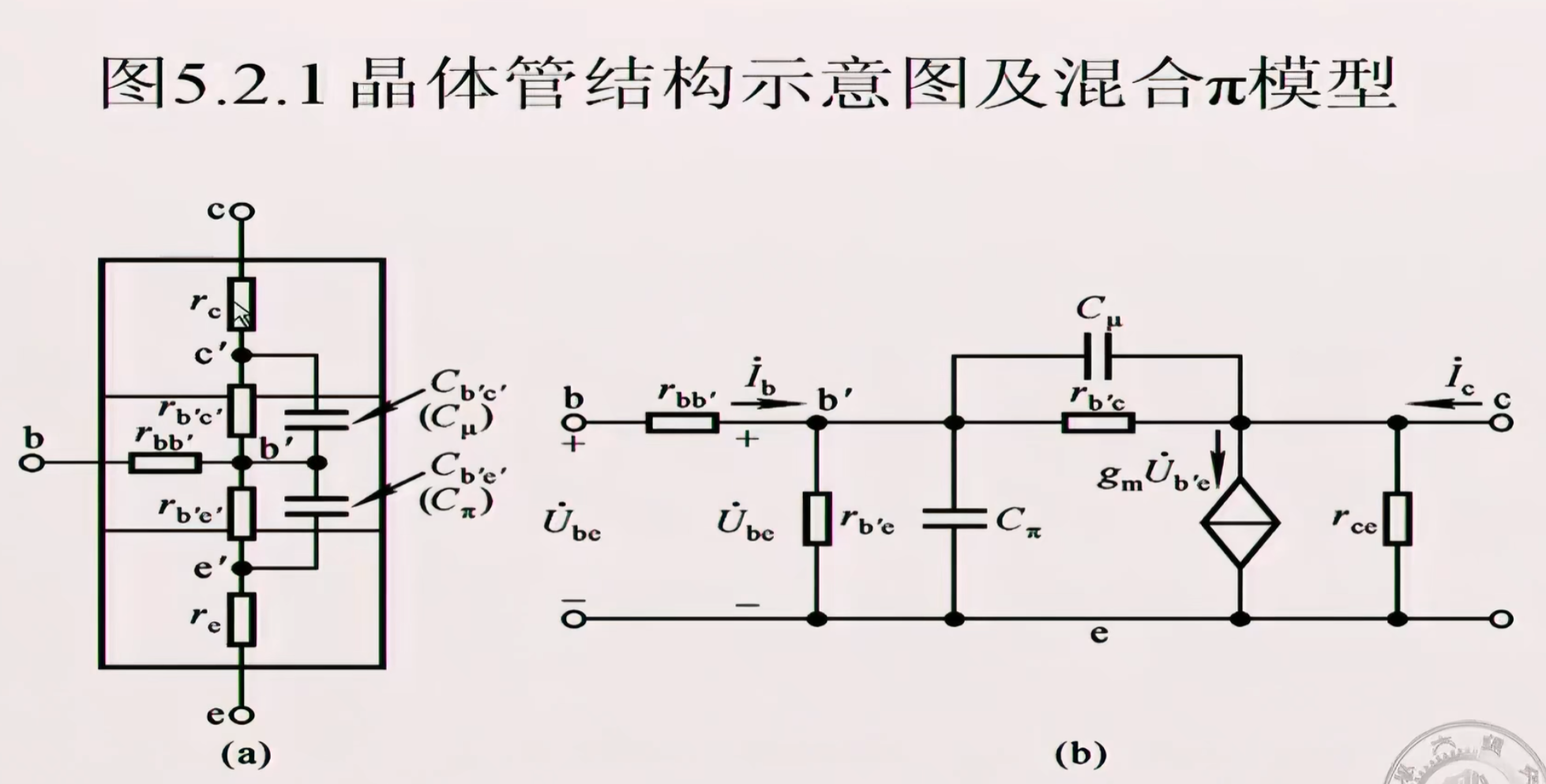 image-20250216174608032