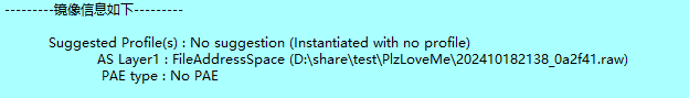 image-20241123131112488