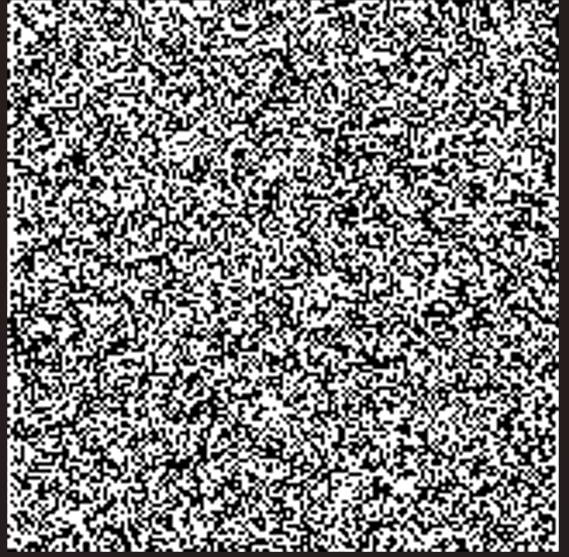 image-20250201170905909