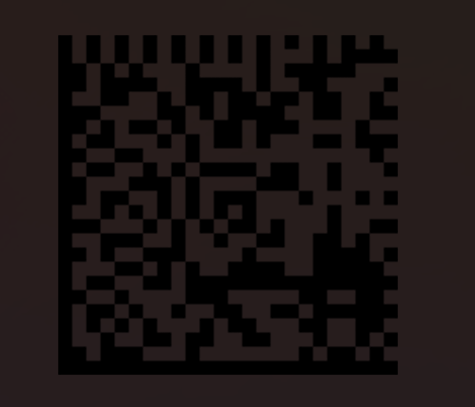 image-20250203162615013