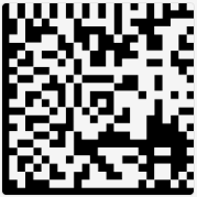 image-20250203162908293
