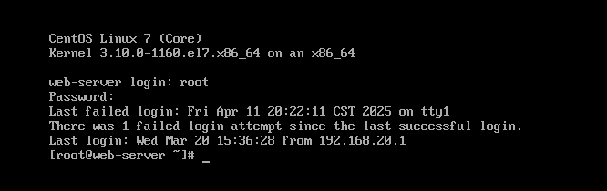 image-20250411123049875