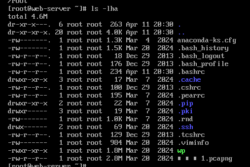 image-20250411123635008