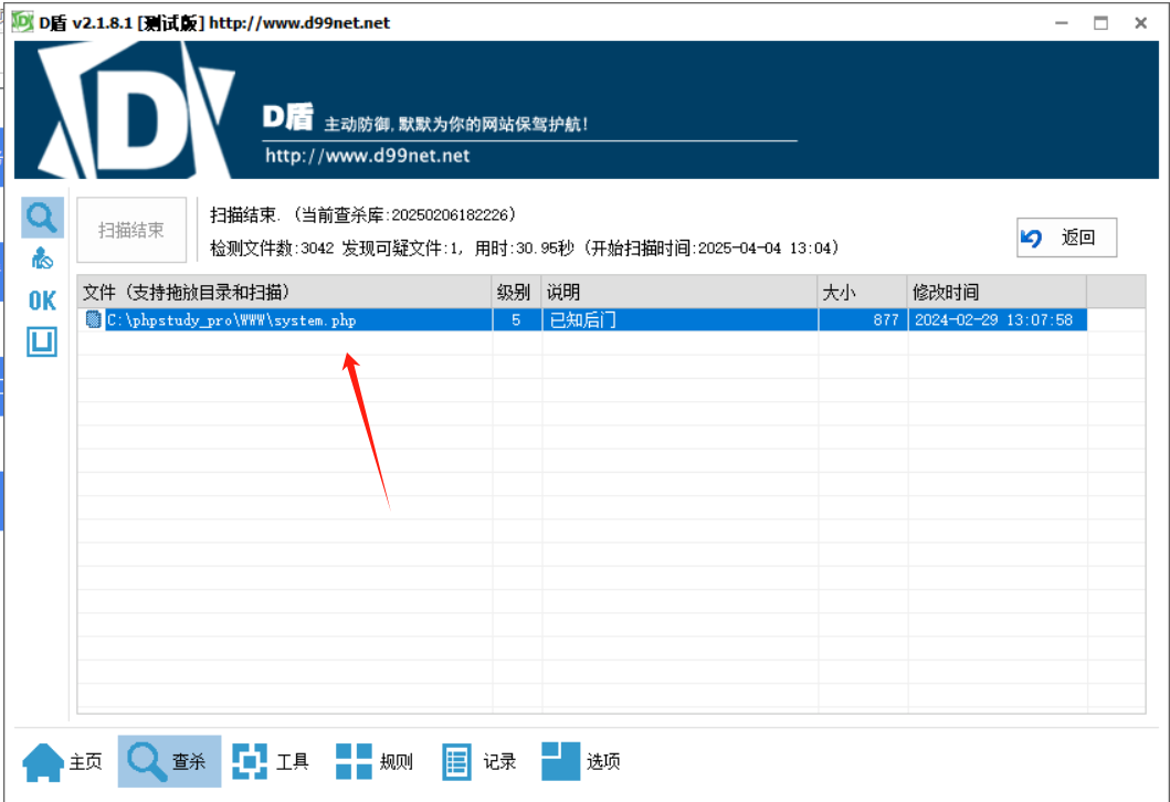 image-20250404131252976