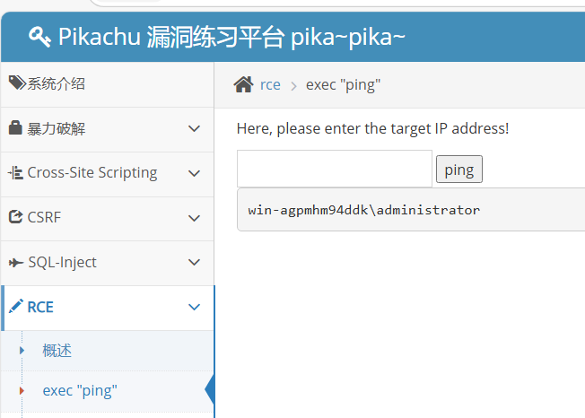 image-20250523143011955