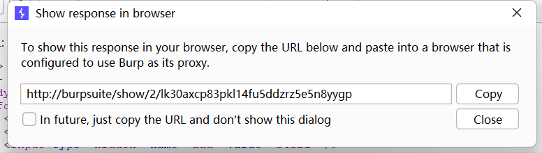 image-20250515191701721