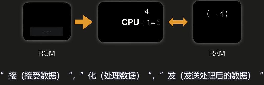 image-20241124104527825