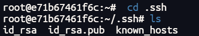 image-20250523233624456